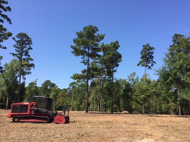 Land Clearing After