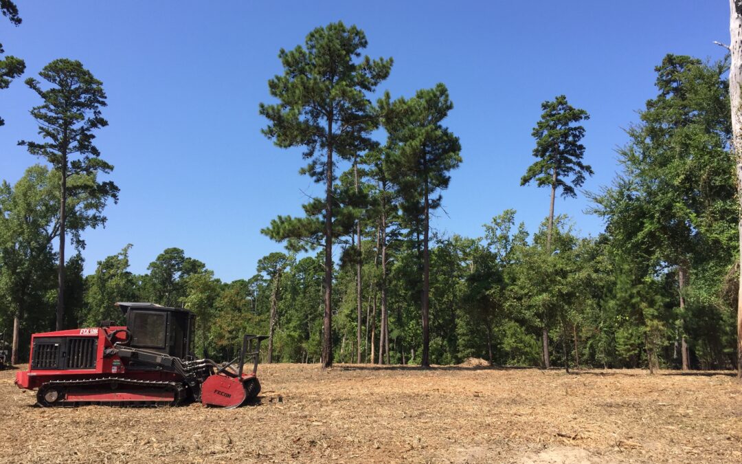 Determining the cost of your land clearing needs