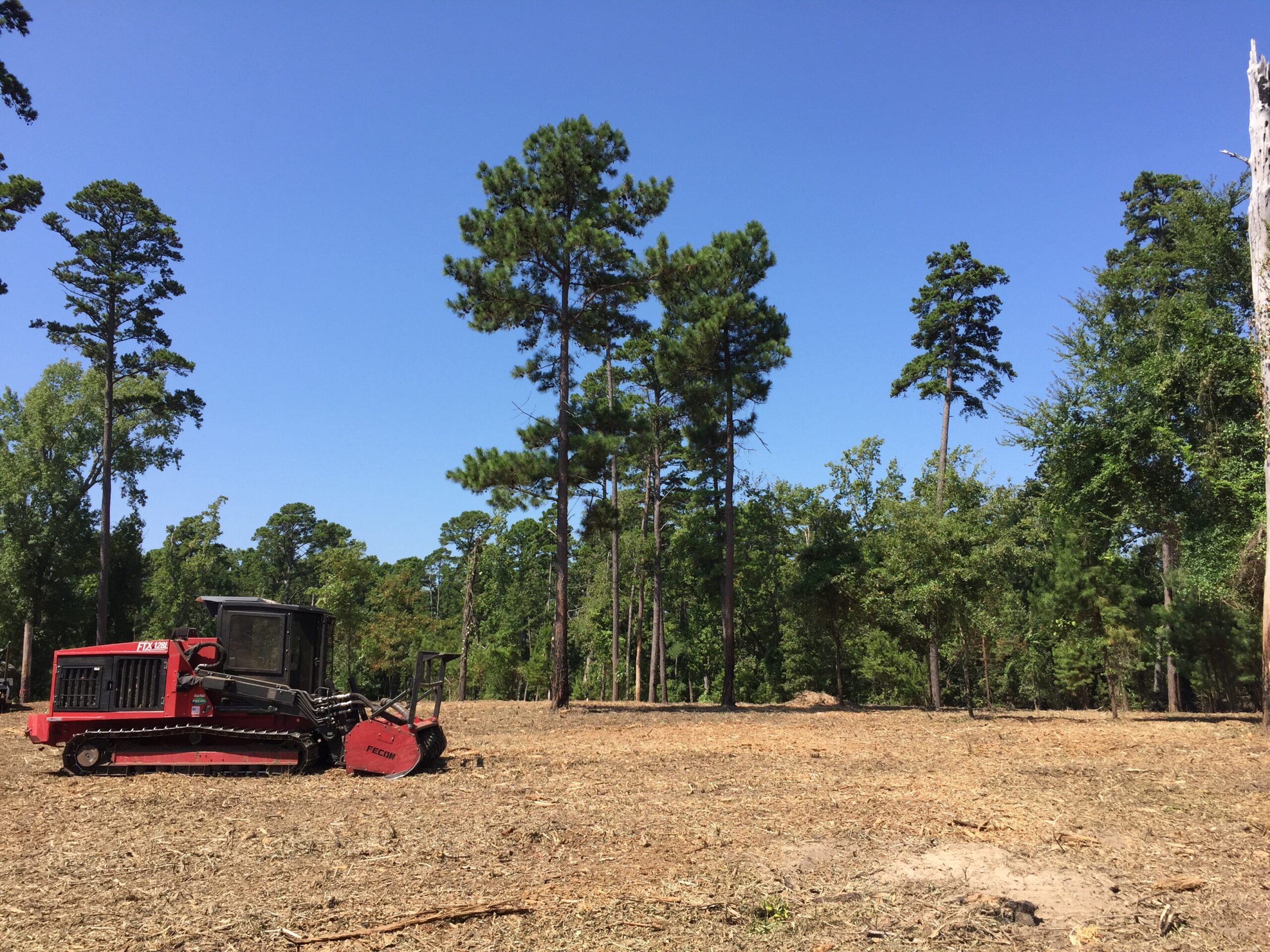 Pasture Reclamation